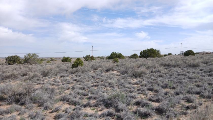 1 Acres for Sale in Sanders, Arizona