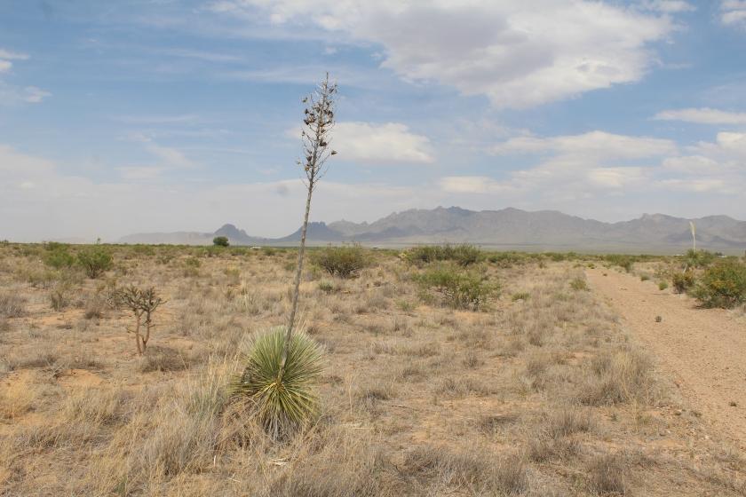 5 Acres for Sale in Deming, New Mexico