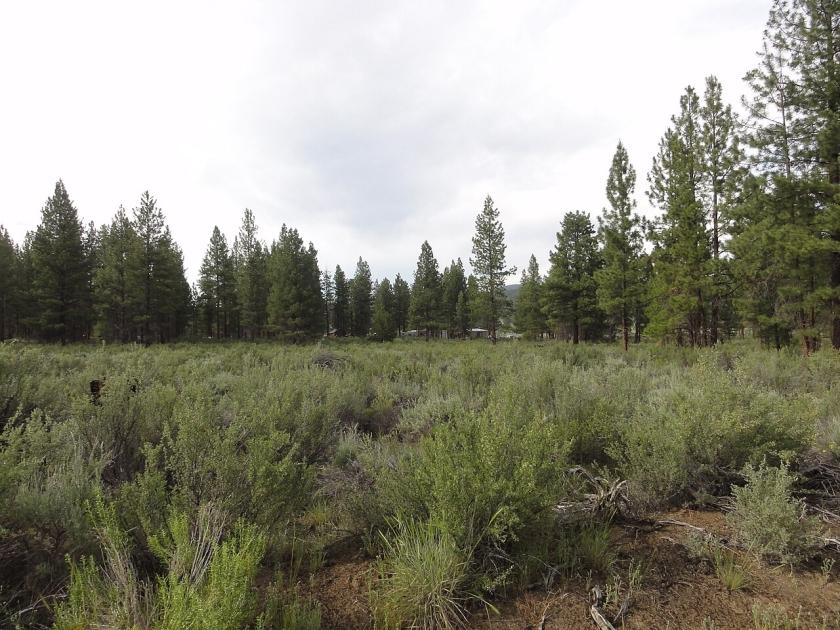 4.68 Acres for Sale in Sprague River, Oregon