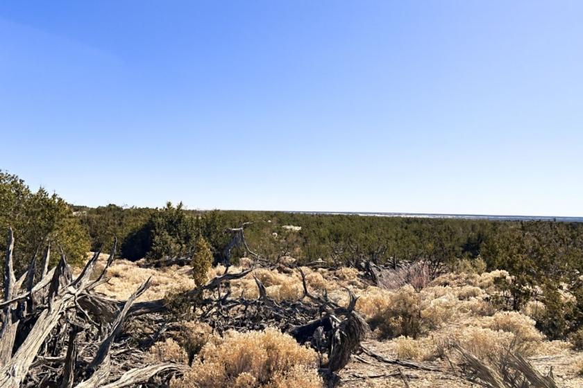 4.51 Acres for Sale in Chambers, Arizona