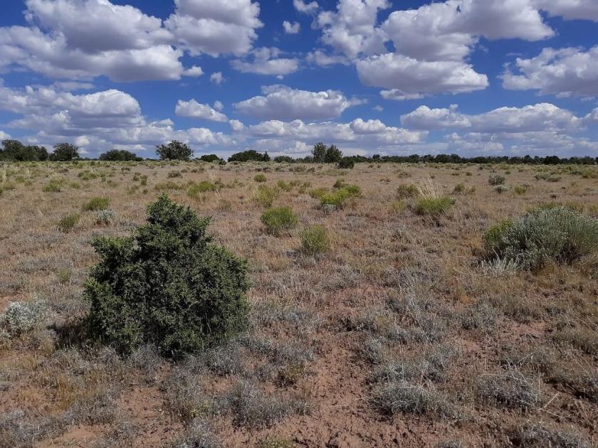 1.02 Acres for Sale in Chambers, Arizona