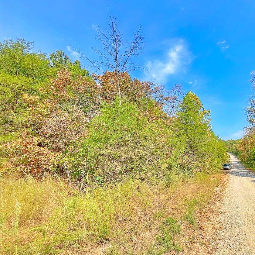 0.5 Acres for Sale in Horseshoe Bend, Arkansas