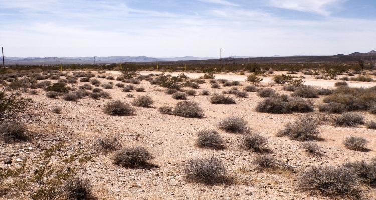 1.13 Acres for Sale in Yucca, Arizona