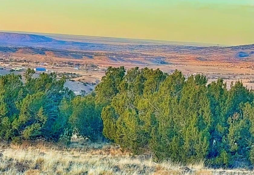 0.37 Acres for Sale in Concho, Arizona