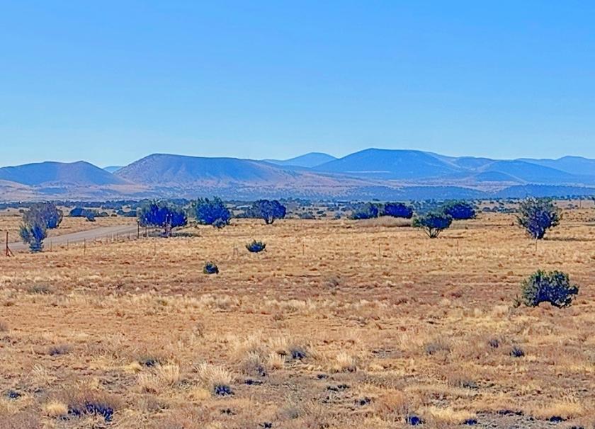 1.04 Acres for Sale in Concho, Arizona