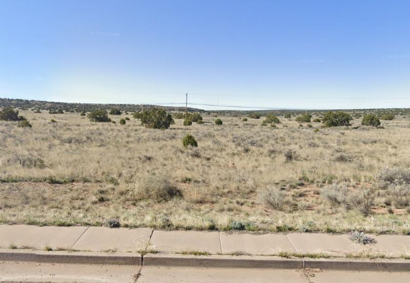 1.15 Acres for Sale in Sanders, Arizona
