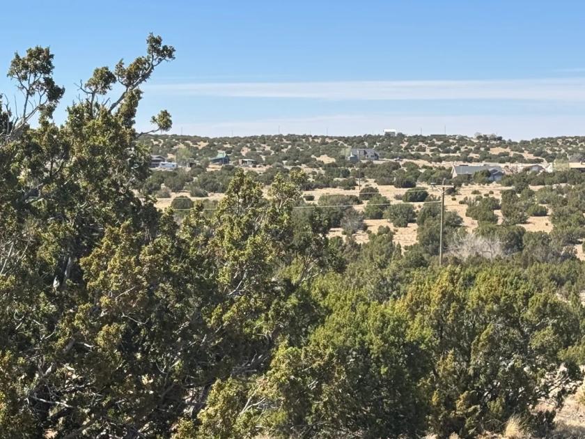 0.25 Acres for Sale in Concho, Arizona