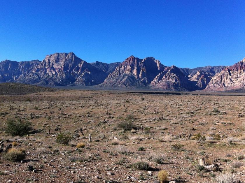 20 Acres for Sale in Montello, Nevada