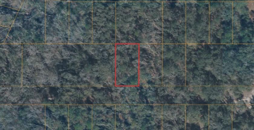 0.23 Acres for Sale in Live Oak, Florida
