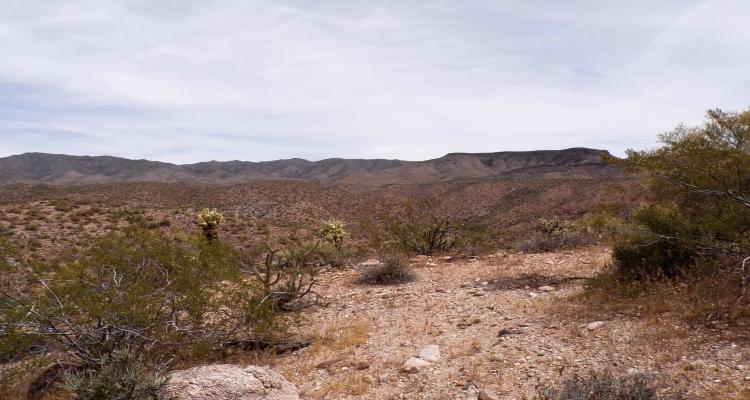 1.25 Acres for Sale in Wikieup, Arizona