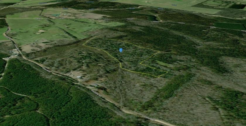 30.00 Acres for Sale in Winona, Mississippi