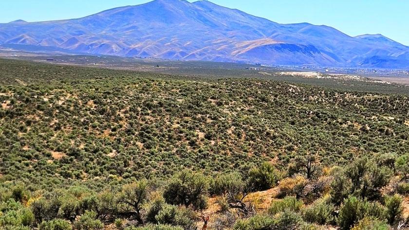 1.13 Acres for Sale in Osino, Nevada