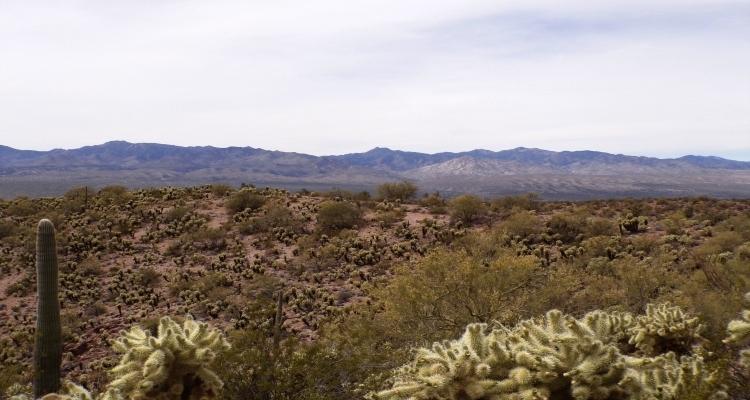 1.25 Acres for Sale in Wikieup, Arizona