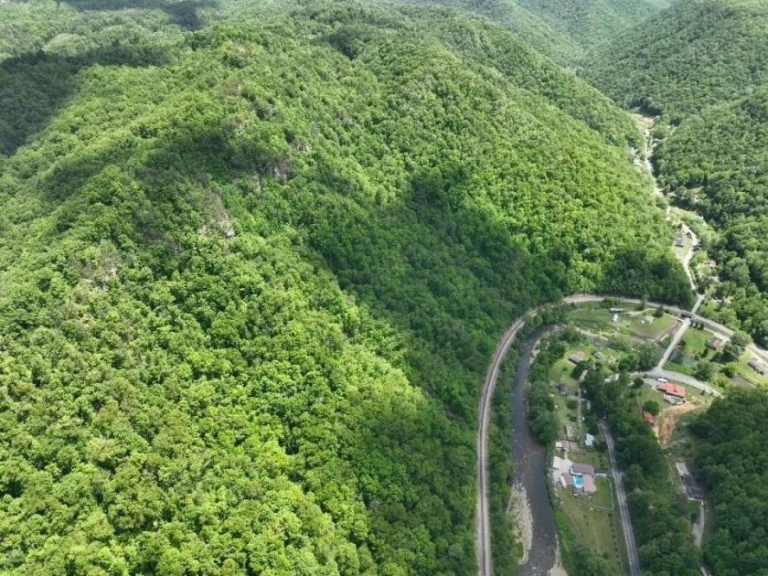 56.00 Acres for Sale in Iaeger, West Virginia