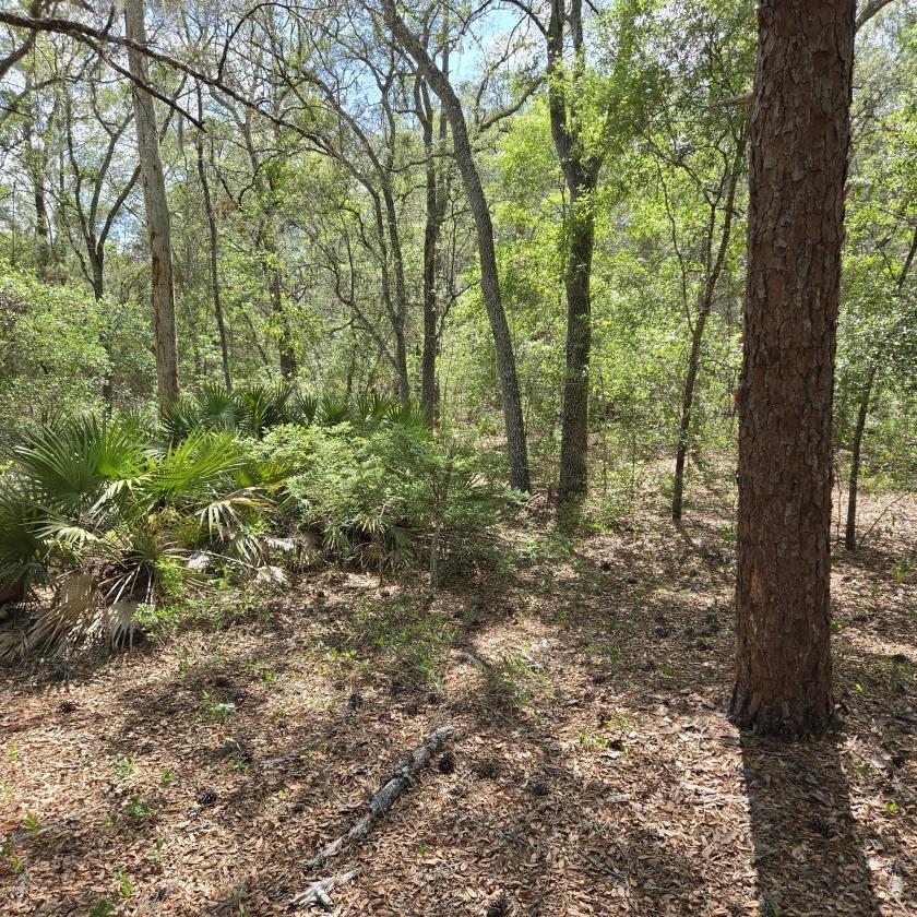 0.58 Acres for Sale in Interlachen, Florida