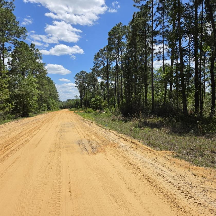 0.28 Acres for Sale in Interlachen, Florida