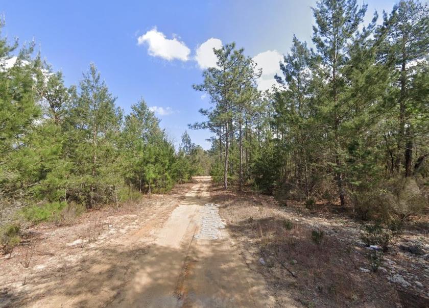 0.22 Acres for Sale in Interlachen, Florida