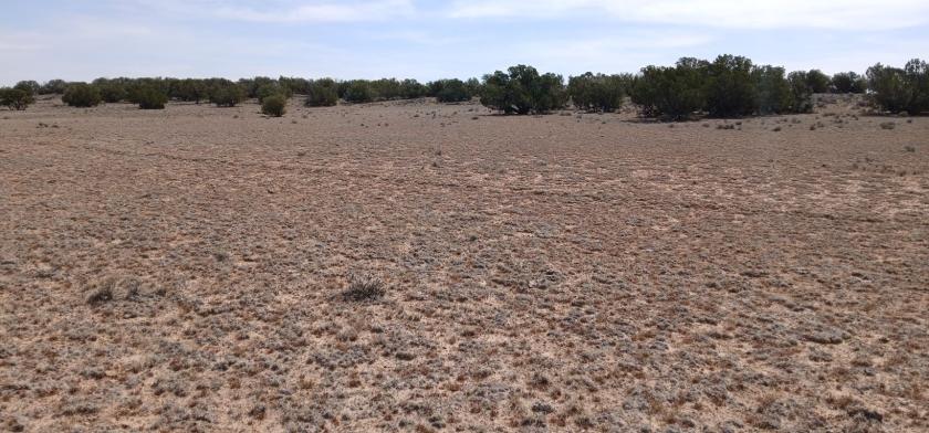 1.06 Acres for Sale in Saint Johns, Arizona