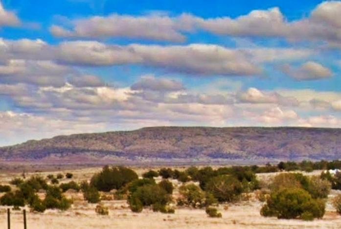 0.69 Acres for Sale in Concho, Arizona