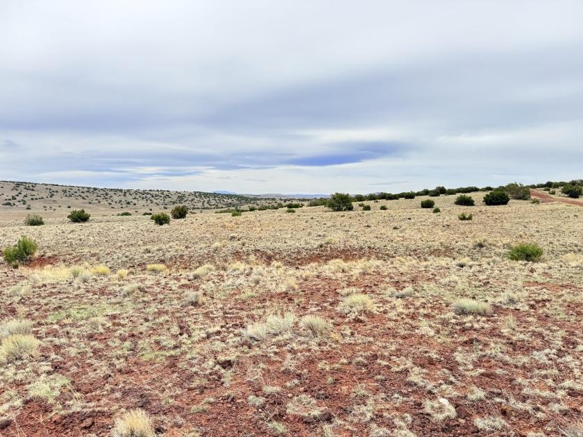 1.04 Acres for Sale in Concho, Arizona