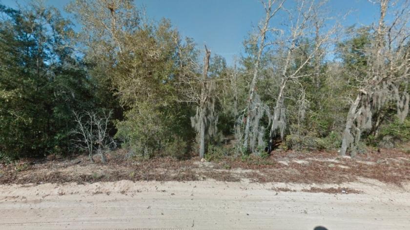 0.23 Acres for Sale in Interlachen, Florida