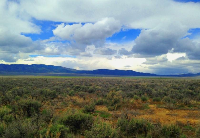 81 Acres for Sale in Winnemucca (Owner Financing $369.00), Nevada