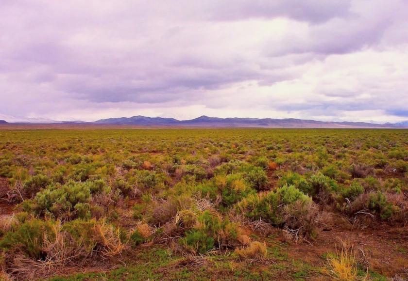 81 Acres for Sale in Winnemucca (Owner Financing $369.00), Nevada