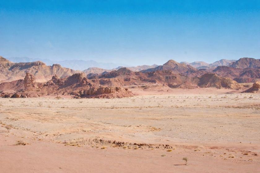 20 Acres for Sale in Yerington, Nevada