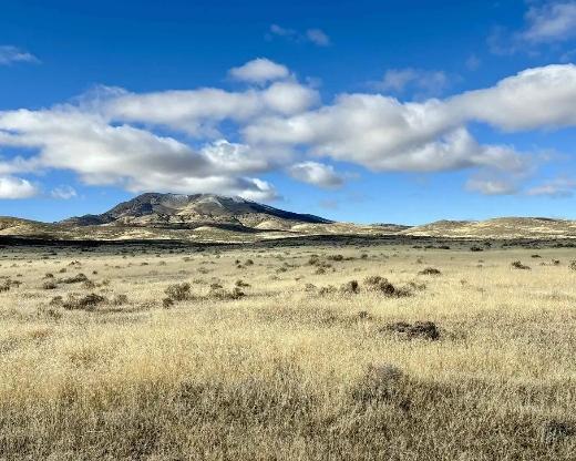 81 Acres for Sale in Winnemucca (Owner Financing $369.00), Nevada