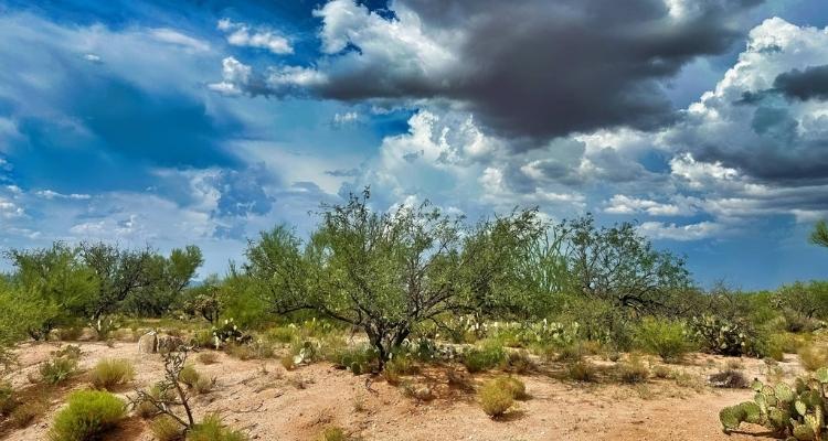1.09 Acres for Sale in Tucson, Arizona