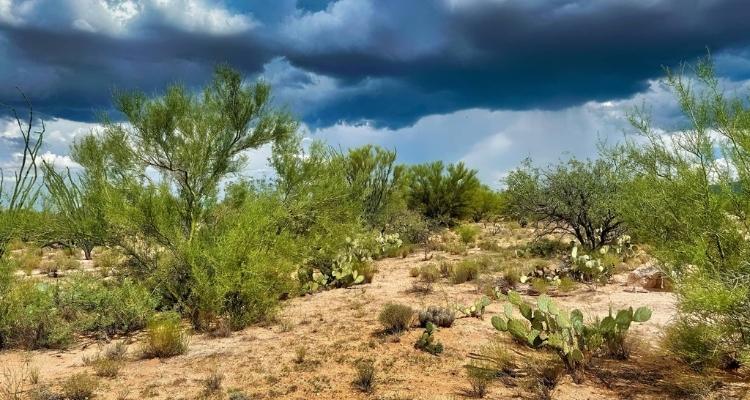 1.07 Acres for Sale in Tucson, Arizona
