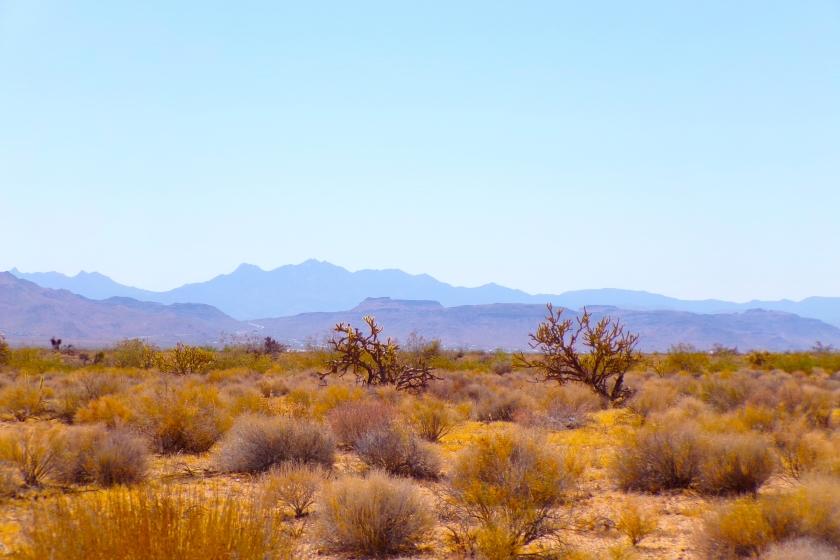 2.35 Acres for Sale in Golden Valley, Arizona