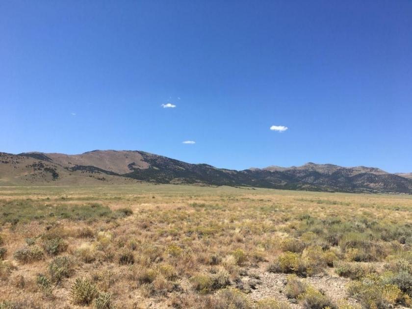 20 Acres for Sale in Yerington, Nevada