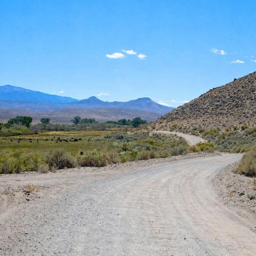 20 Acres for Sale in Yerington, Nevada