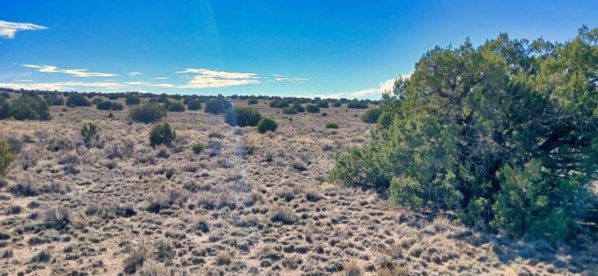 0.95 Acres for Sale in Sanders, Arizona