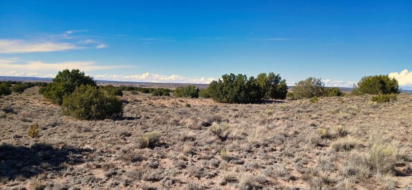 1 Acres for Sale in Chambers, Arizona