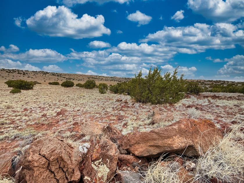 1.02 Acres for Sale in Concho, Arizona