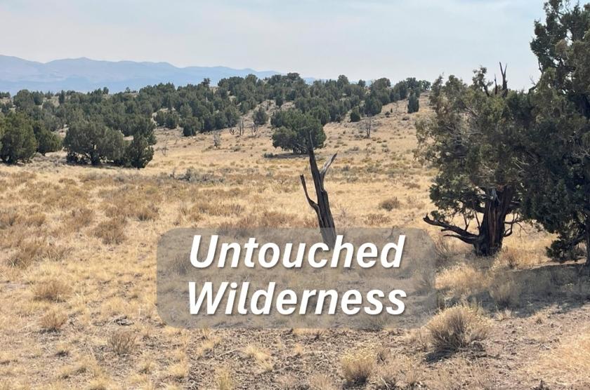 40 Acres for Sale in Montello, Nevada