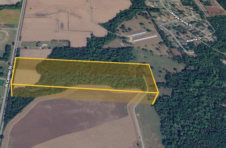 32.2 Acres for Sale in Dudley, North Carolina