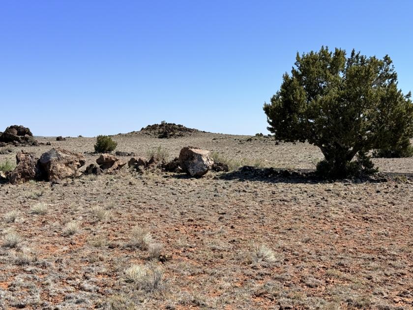 3 Acres for Sale in Concho, Arizona