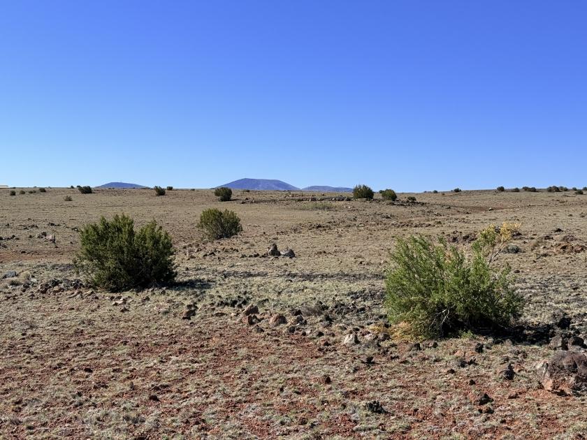 1.04 Acres for Sale in Concho, Arizona