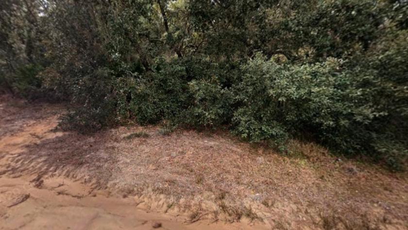 0.22 Acres for Sale in Interlachen, Florida
