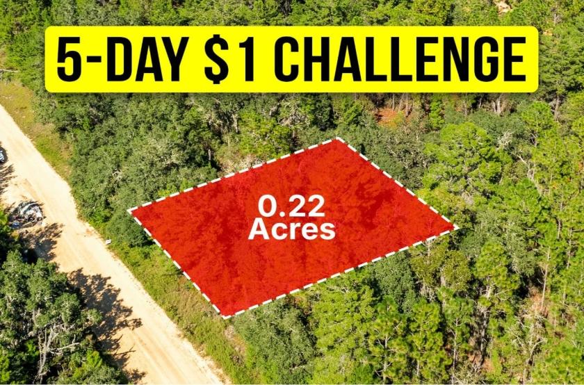 0.22 Acres for Sale in Interlachen, Florida