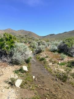 210 Acres for Sale in Buffalo Mtn, Nevada