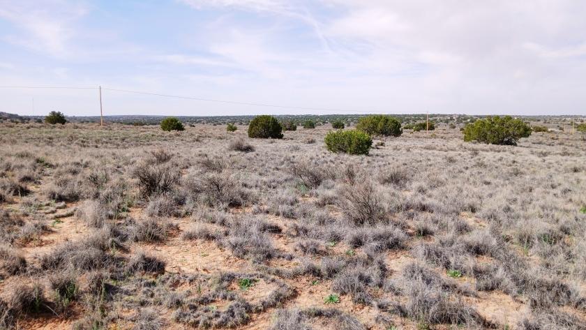 1.2 Acres for Sale in Sanders, Arizona