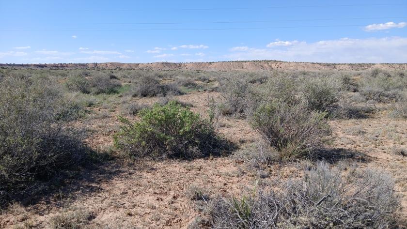 2 Acres for Sale in Chambers, Arizona
