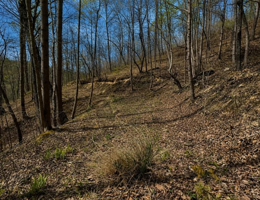 13 Acres for Sale in Hinkle, Kentucky