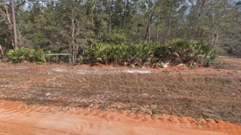 0.21 Acres for Sale in Interlachen, Florida