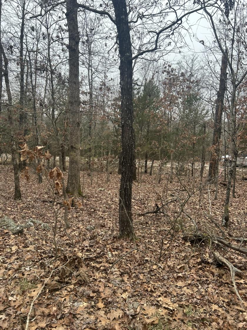 0.45 Acres for Sale in Horseshoe Bend, Arkansas