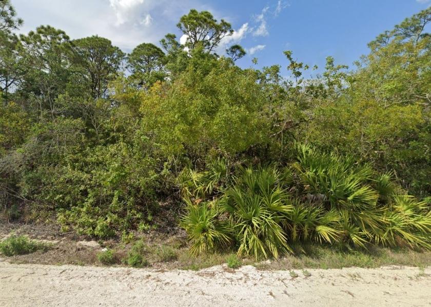 0.22 Acres for Sale in Lake Placid, Florida